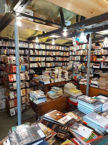 Juniper Books bookstore