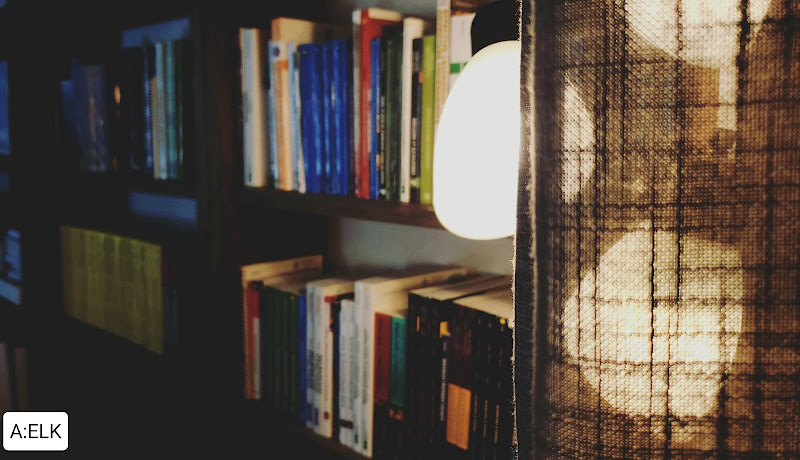Les Mots Passants Inc. bookstore